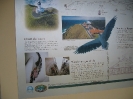 Byron Bay