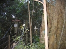 Lamington National Park
