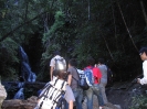 Lamington National Park