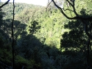 Lamington National Park