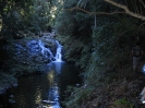 Lamington National Park