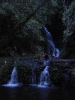 Lamington National Park