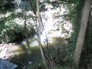 Lamington National Park