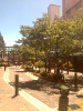 Brisbane China Town 2