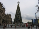 Brisbane Xmas 2007