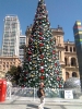 Christmas Tree at Briabane Square