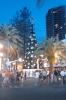 Gold Coast Christmas Tree