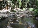 Northern Queensland
