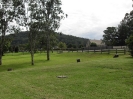 Wollombi