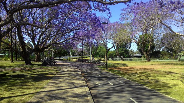 UQ Lake Bus Stop