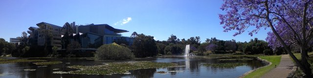 Jacaranda@UQ Lake