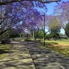 UQ Lake Bus Stop