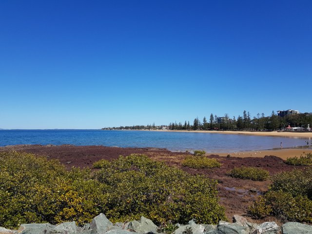 Settlement Cove Park - Redcliffe