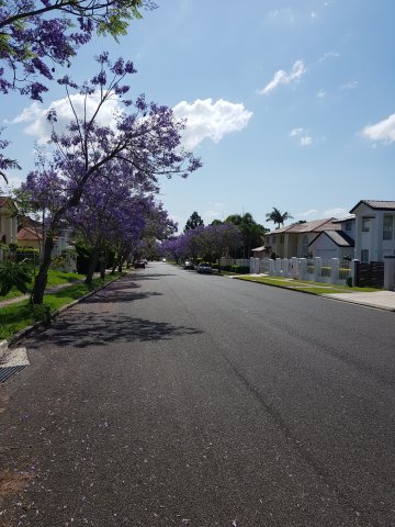 Jacaranda@Sunnybank Hills