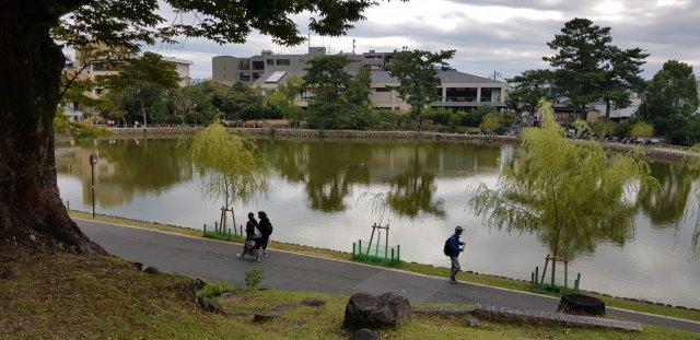 Nara Park