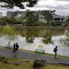 Osaka » Nara Park