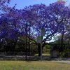 Bus Stop Near UQ Lake