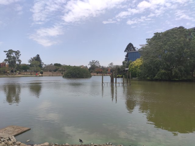 UQ Lakes