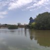 UQ Lakes