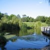 UQ Lakes