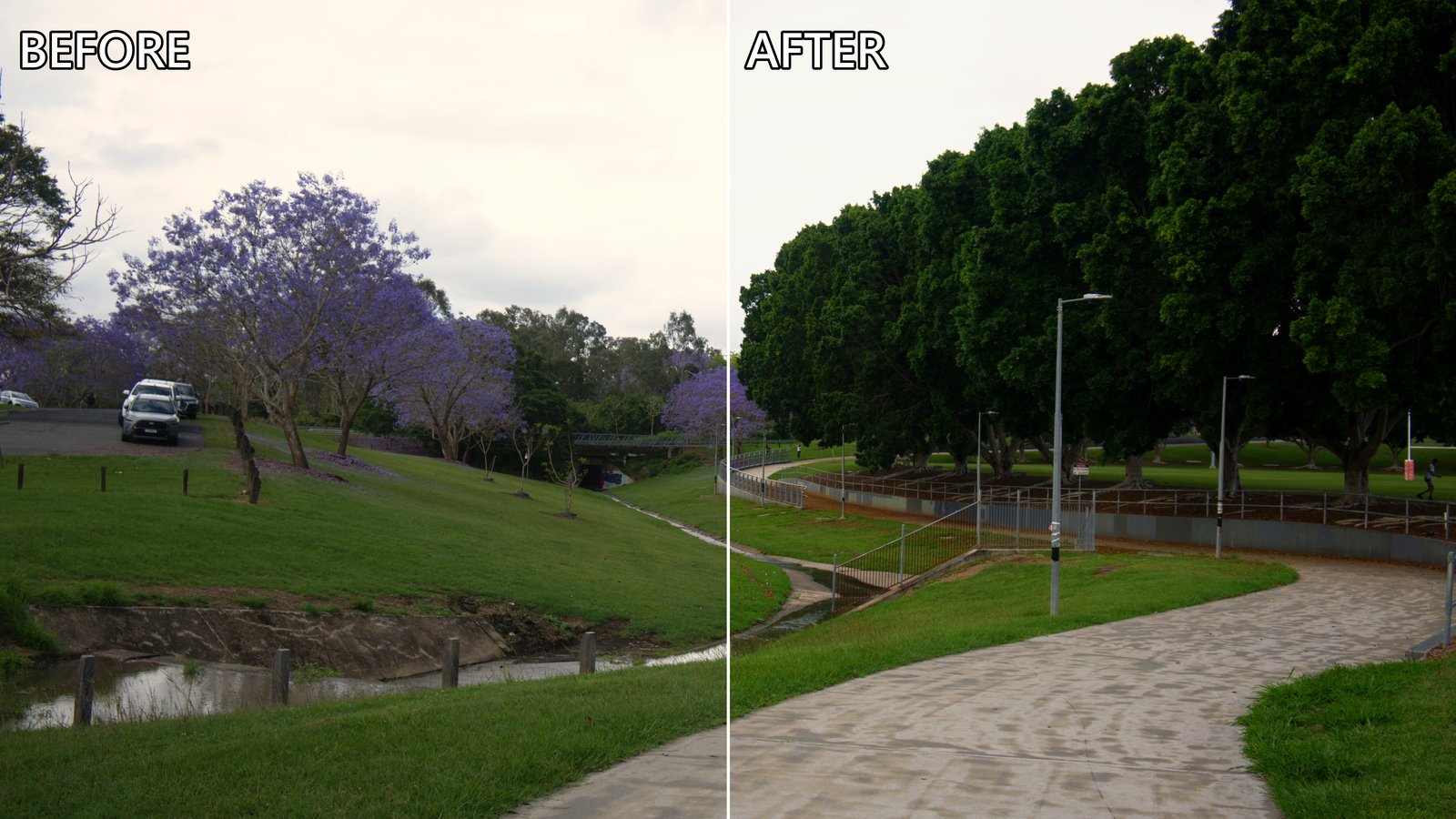 Before and after colour correction of a Goodna park path with jacarandas: left half straight from the camera, right half after editing
