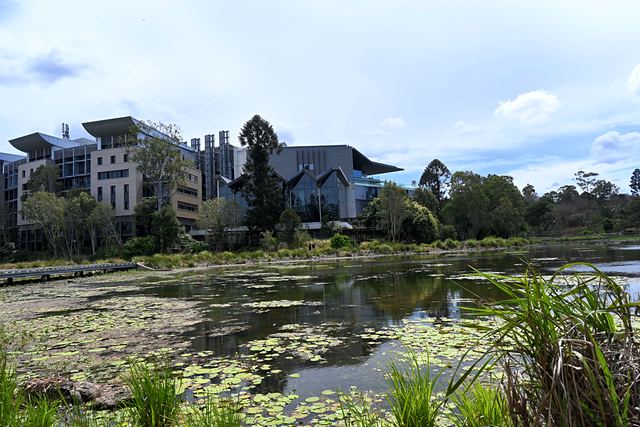 University buildings across a lily-covered lake at UQ