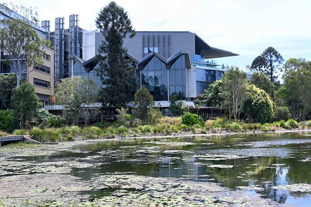A lily pond in front of a glass-fronted university building at UQ