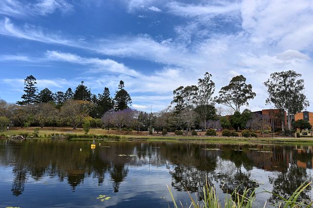 Still water and tree reflections at UQ Lakes