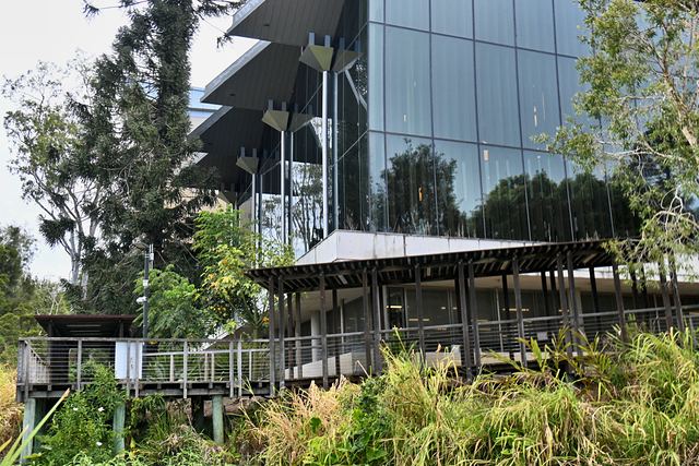 A timber deck and walkway beside the lake at UQ